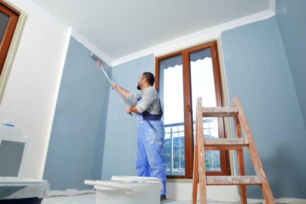 Best Fire-Damaged Drywall Repair  in Wailea, HI